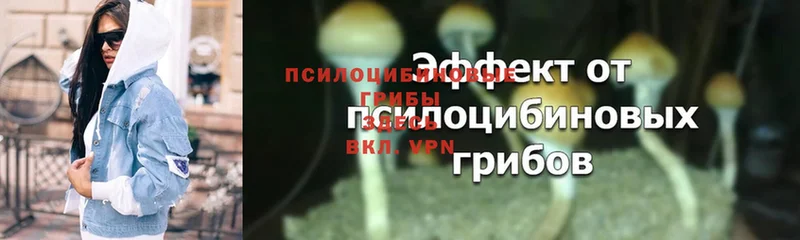 Псилоцибиновые грибы MAGIC MUSHROOMS  Кодинск 