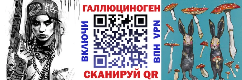 Галлюциногенные грибы Psilocybe  hydra маркетплейс  Кодинск 
