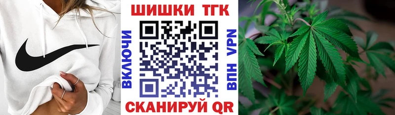 где купить наркотик  Кодинск  Каннабис ГИДРОПОН 